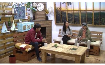 Entrevista Cimavisión Educación Alternativa. La Pedagogía EPE